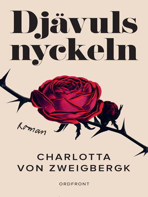 cover image of Djävulsnyckeln